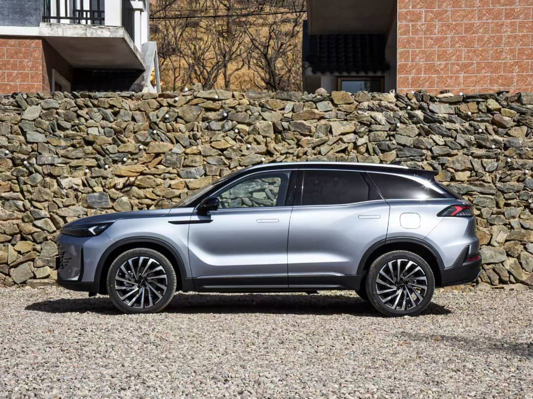 whatsapp image 2026 01 10 at 2.25.27 pm (1)