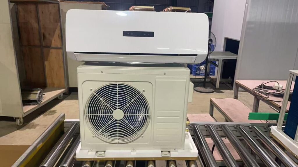 whatsapp image 2026 01 24 at 5.50.31 am